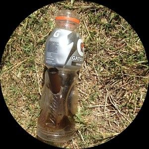 Meet your Posher, Rhys